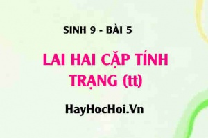 Menđen giải thích kết quả thí nghiệm lai hai cặp tính trạng, Ý nghĩa của quy luật phân li độc lập - Sinh 9 bài 5